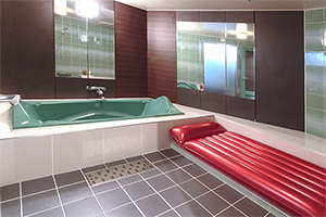 501号室バスルーム